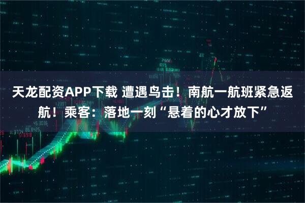 天龙配资APP下载 遭遇鸟击！南航一航班紧急返航！乘客：落地一刻“悬着的心才放下”