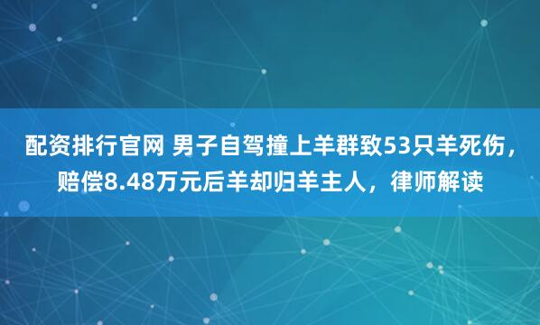 配资排行官网 男子自驾撞上羊群致53只羊死伤，赔偿8.48万元后羊却归羊主人，律师解读